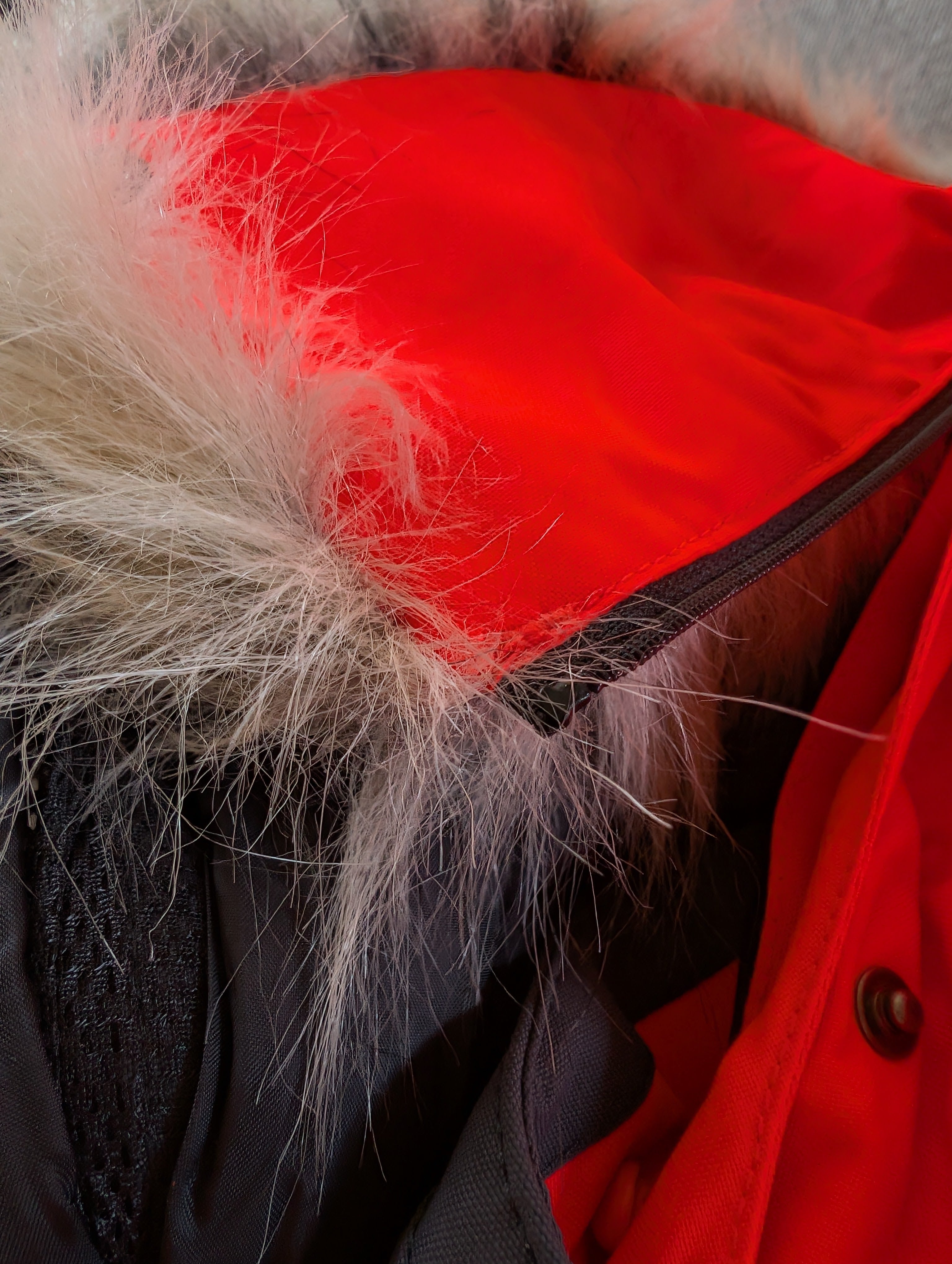 Vinter jakke